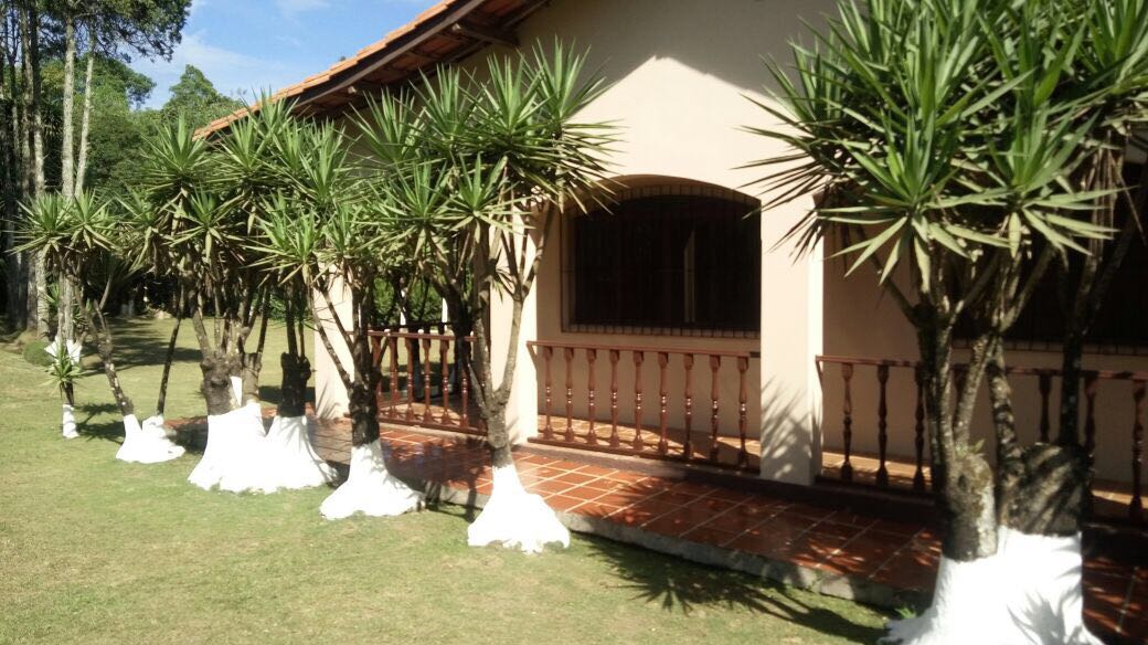 clinica de reailitação de drogas