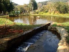 clinica de reailitação de drogas